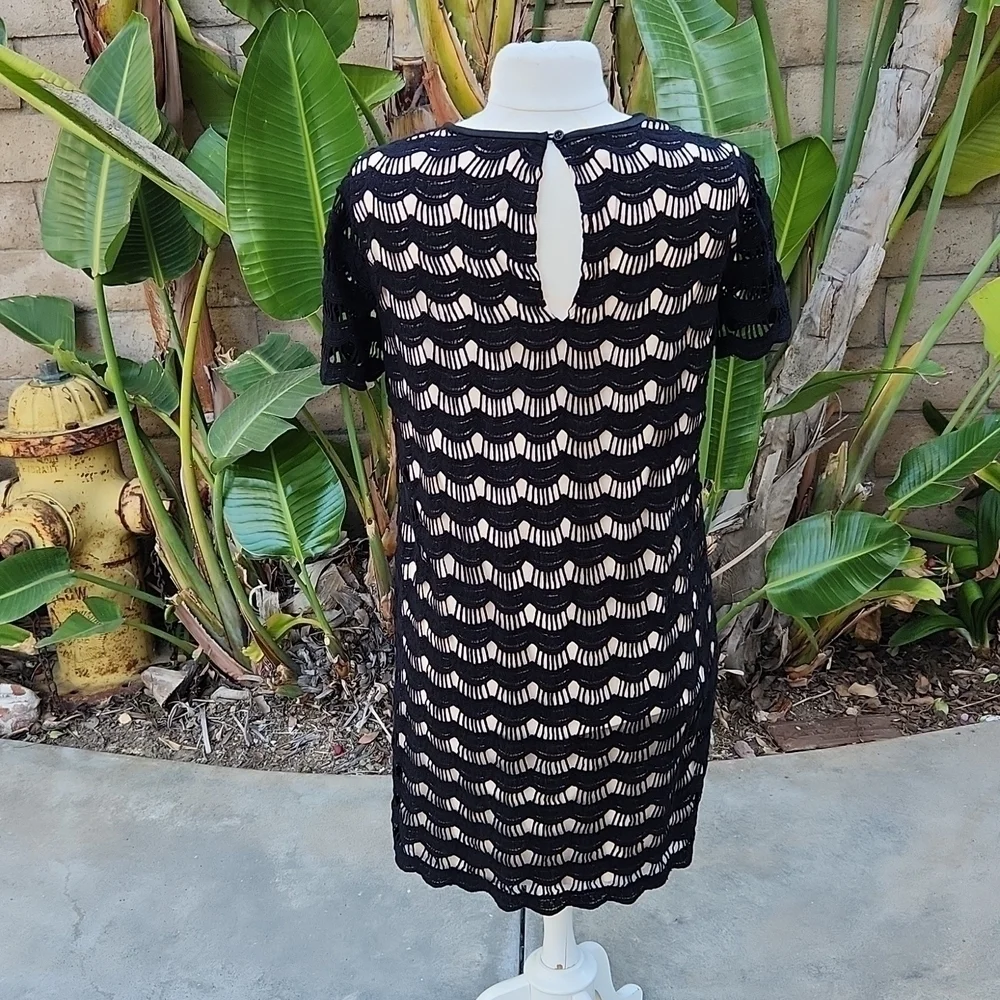 Kate Spade Virginia Scallop Lace Dress Size 10